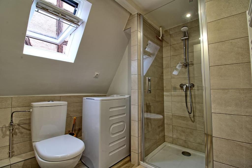 Logement Chez Anthone - Proche Obernai, Logement Pour 1 A 5 Personnes Bernardswiller Εξωτερικό φωτογραφία